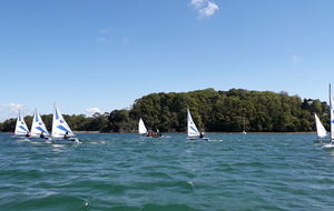 6018573e015c9_20190511161351.jpg